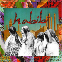 I Got The Moves - Habibi
