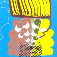 Let's Get On With It! - An Albatross
