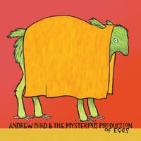 Skin Is, My - Andrew Bird
