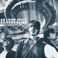 Consolation Prize - ORANGE JUICE