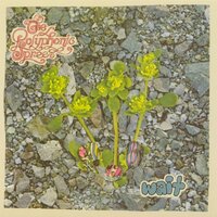 Lithium - The Polyphonic Spree
