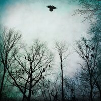 In This Darkness - Over The Ocean