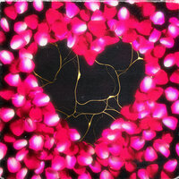 Better - Daniel Blume