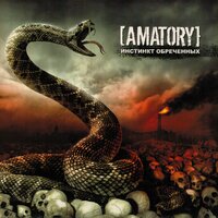 Ответ знает… - [AMATORY]