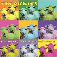 Walk Like An Egg - The Dickies
