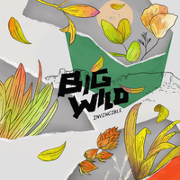 Empty Room - Big Wild, YuNa