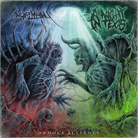 Day / Day - AngelMaker