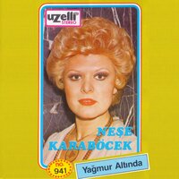 Eski Dostlar - Neşe Karaböcek