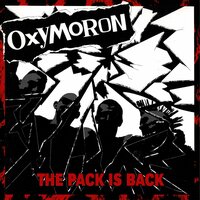 Kamikaze - Oxymoron