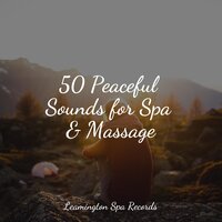 Lullaby - Sounds Of Nature Relaxation, Nature Noise, Rainforest