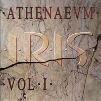 Nu vor / Somn bizar - Iris