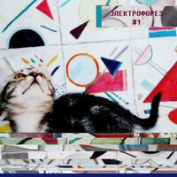 Невеста - Электрофорез
