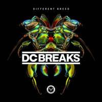 Moving On - Dc Breaks