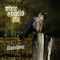 Shining Path - Where Angels Fall