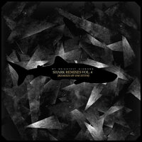 Ice & The Storm - My Brightest Diamond