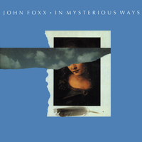 Shine On - John Foxx
