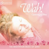 Hare Krishna - Wah!