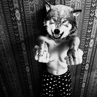 Start Now Stop - LOLAWOLF