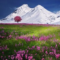 Rhythms - Music for Reading, Mindfullness Meditation World, Relaxation Meditation Songs Divine