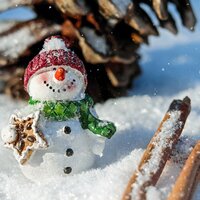 Beware of the Grinch! - Thunderstorm Sleep, White Noise Nature Sounds Baby Sleep, Serenity Spa Music Relaxation