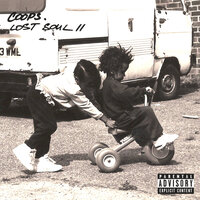 Intro - Coops