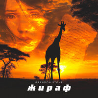 Жираф - Brandon Stone