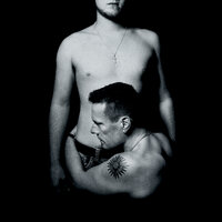Cedarwood Road - U2