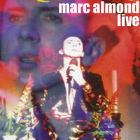 Torch - Marc Almond