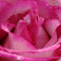 Drizzle Soundscape - Meditation Rain Sounds, Sleep Sounds Of Nature, Sounds of Nature White Noise for Mindfulness Meditation and Relaxation