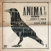 Animal - Dice Raw