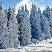 Hoopla Holidays - Musique de Noel Academie, best christmas songs, xmas songs, Best Christmas Songs, xmas songs