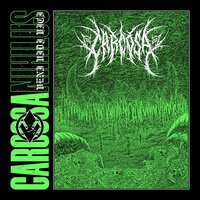 Nihilus - Carcosa