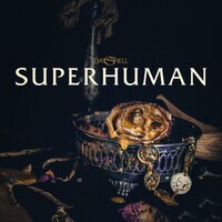 Superhuman - Dayshell