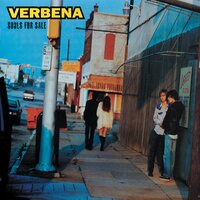Me & Keith - Verbena