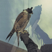 Burning Hand - Iceage