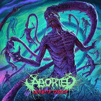 Infinite Terror - Aborted