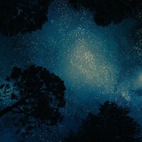 The Rain Falls Softly - Bar Lounge, Sleep Meditation Dream Catcher, Lucid Dreaming World-Collective Unconscious Mind, Bar Lounge, Sleep Meditation Dream Catcher