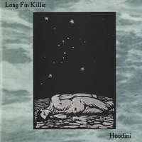 Corngold - Long Fin Killie