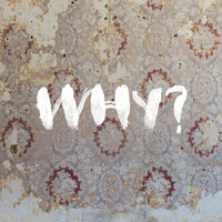 The Water - WHY?, Kishi Bashi