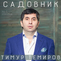 Шумят рестораны - Тимур Темиров