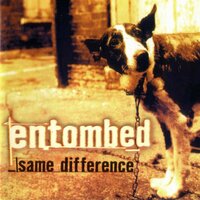 Jack Worm - Entombed