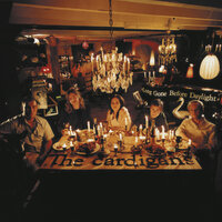 Feathers And Down - The Cardigans
