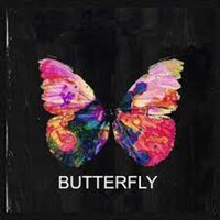 Butterfly - Yahel