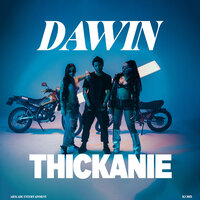Thickanie - Dawin
