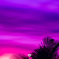 Need You - Zach Diamond