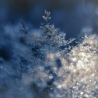 Christmas Lights - Relaxing Mindfulness Meditation Relaxation Maestro, Deep Sleep Music Maestro, Greatest Christmas Songs