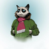 Строго - SharOn