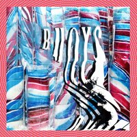 Dolphin - Panda Bear
