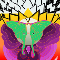 Cut Your Face - The Joy Formidable