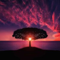 Dreamwave - Nature Sounds, Massage Music, Sleep Music